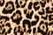 Animal Print